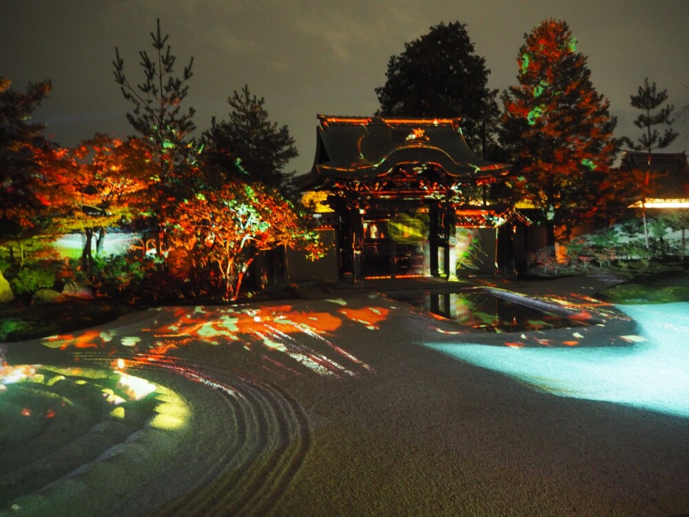 高台寺の紅葉ライトアップ　2017年11月22日　撮影：MKタクシー
