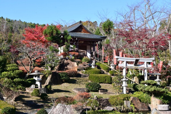 天鏡院の紅葉　2024年12月8日　撮影：MKタクシー