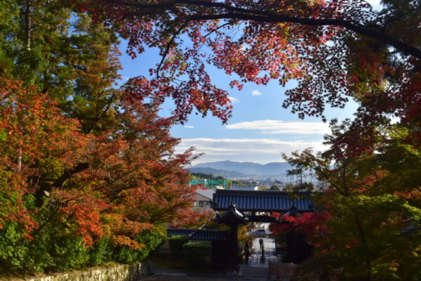 光明寺の紅葉　2021年11月11日　撮影：MKタクシー