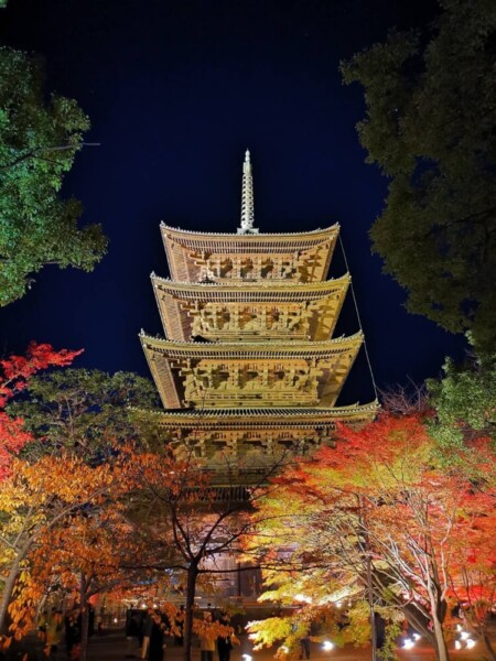 東寺の紅葉ライトアップ　2023年12月1日　撮影：MKタクシー