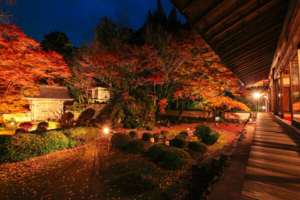 大梅山法常寺の紅葉ライトアップ　2024年11月30日　提供：junichiro.takikawa
