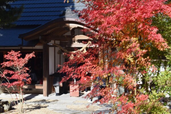 正寿院の本堂と紅葉　2020年11月14日　撮影：MKタクシー