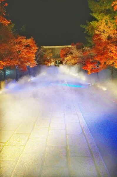 仁和寺の雲海ライトアップ　2023年12月4日　撮影：MKタクシー