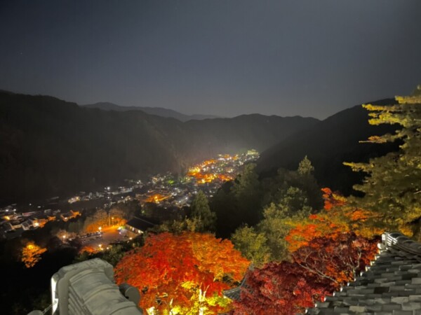 郡上八幡城（郡上市）の紅葉ライトアップ　2022年11月10日　撮影：MKタクシー