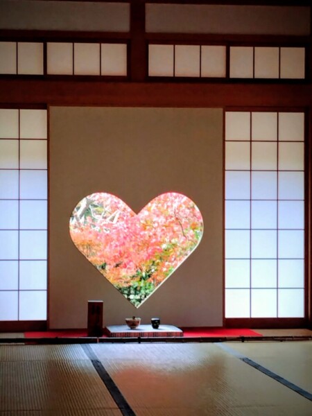 正寿院客殿の猪目窓から見える紅葉　2025年11月11日　撮影：MKタクシー