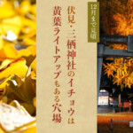 12月まで見頃！伏見・三栖神社のイチョウは黄葉ライトアップもある穴場
