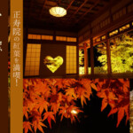 正寿院の紅葉を満喫！ハート窓とライトアップの絶景と便利なアクセス紹介