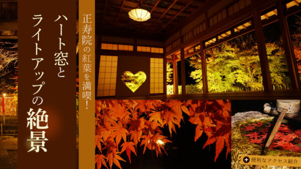 正寿院の紅葉を満喫！ハート窓とライトアップの絶景と便利なアクセス紹介