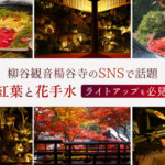 柳谷観音楊谷寺のSNSで話題の紅葉と花手水！ライトアップも必見