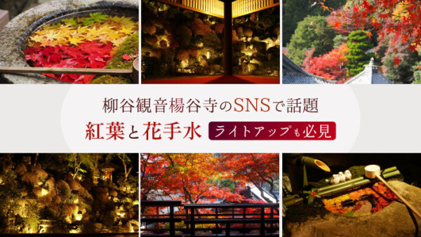 柳谷観音楊谷寺のSNSで話題の紅葉と花手水！ライトアップも必見
