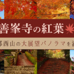 善峯寺の紅葉｜京都西山の大展望パノラマを満喫