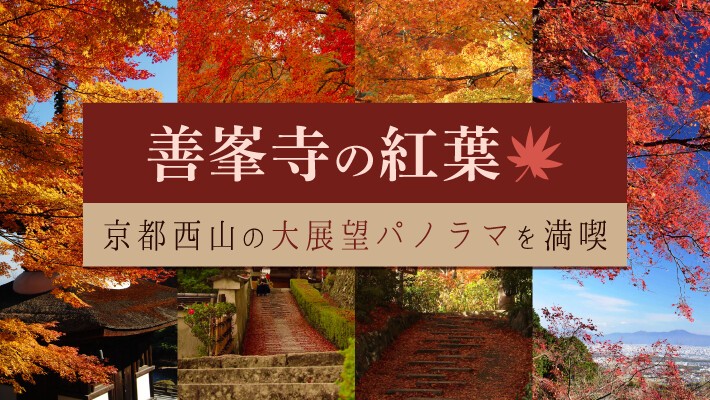 善峯寺の紅葉｜京都西山の大展望パノラマを満喫